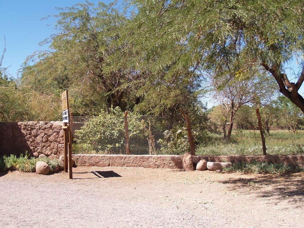 Quinta Adela Bed & Breakfast San Pedro de Atacama Eksteriør billede