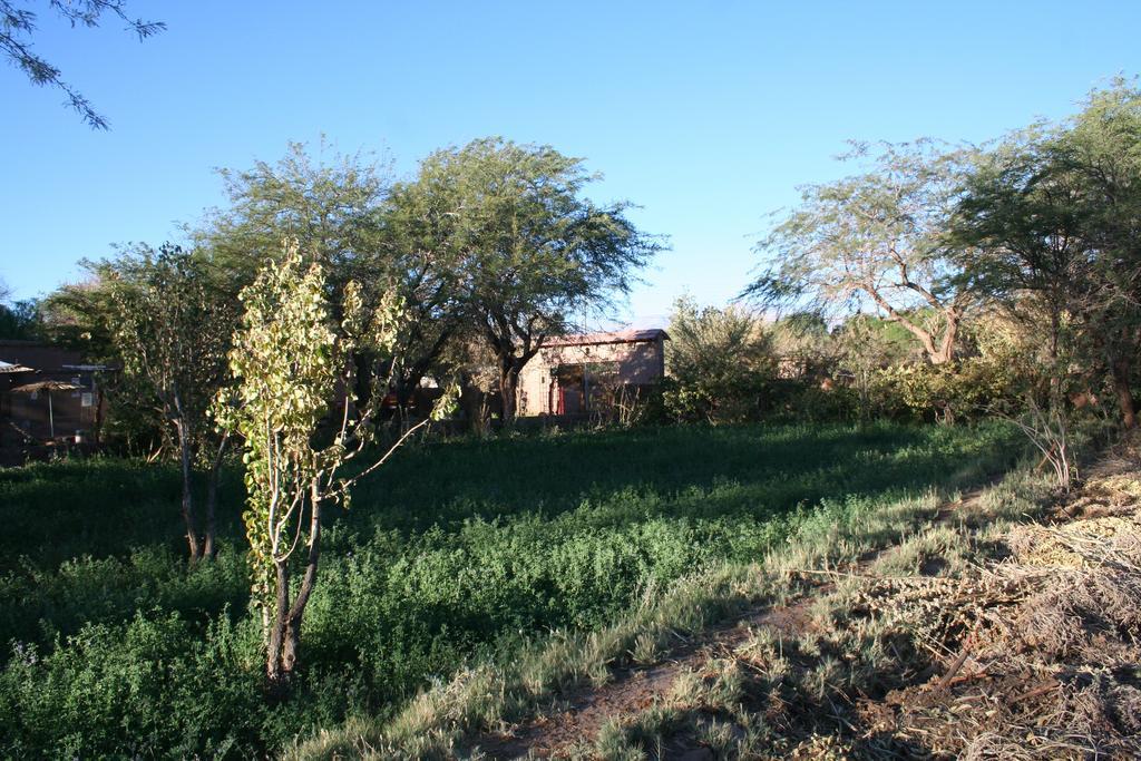 Quinta Adela Bed & Breakfast San Pedro de Atacama Eksteriør billede