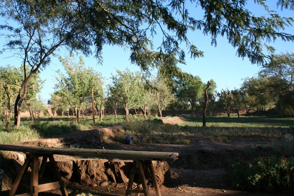 Quinta Adela Bed & Breakfast San Pedro de Atacama Eksteriør billede