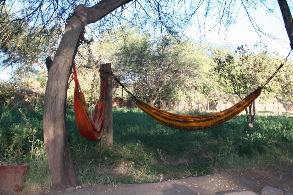 Quinta Adela Bed & Breakfast San Pedro de Atacama Eksteriør billede