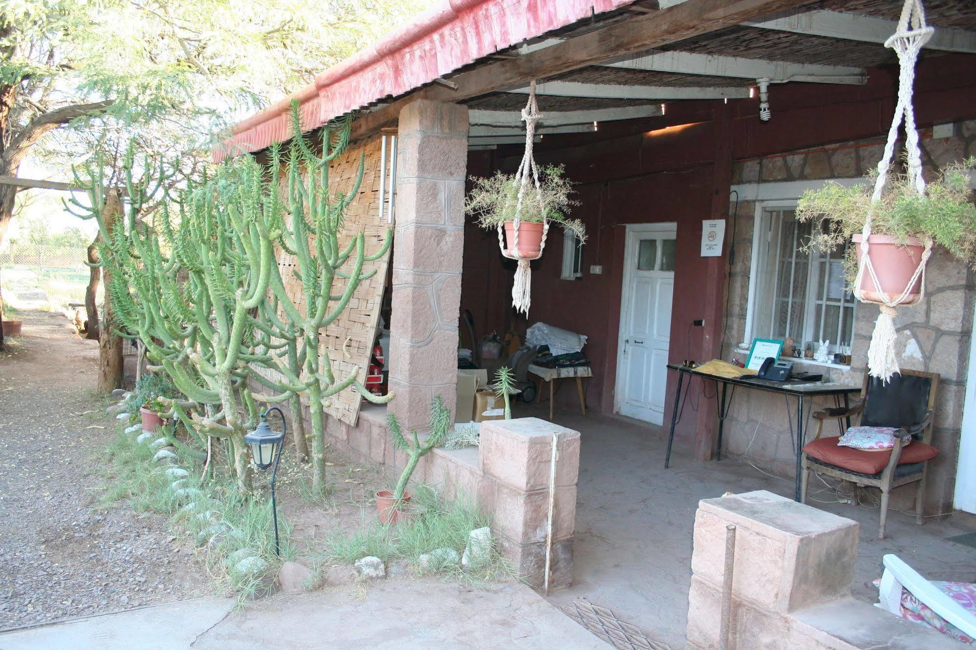 Quinta Adela Bed & Breakfast San Pedro de Atacama Eksteriør billede